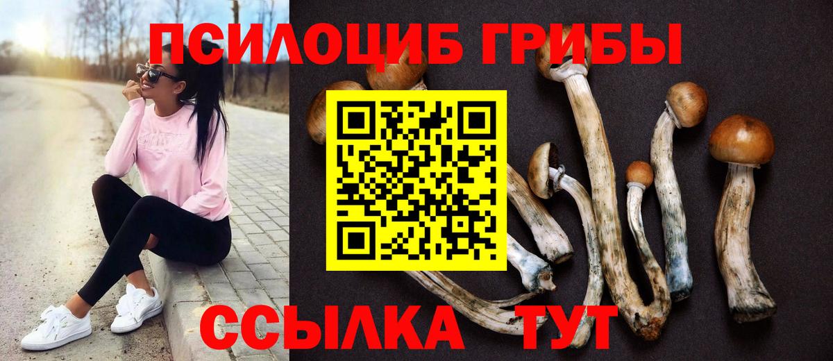 Псилоцибиновые грибы Magic Shrooms Азов